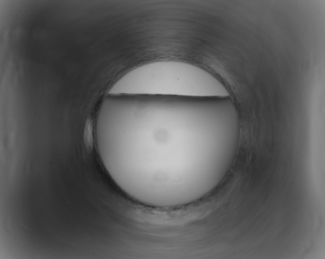 X0000089900022200706281143