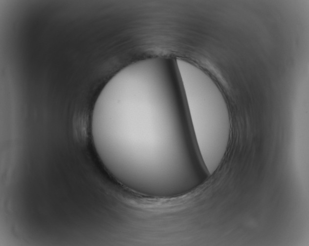 X0000089900023200706281143