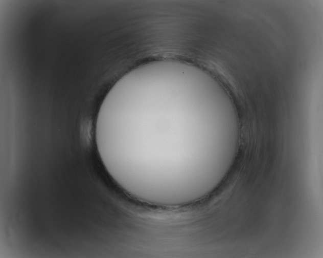 X0000089900024200706281143