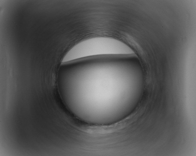 X0000089900025200706281143