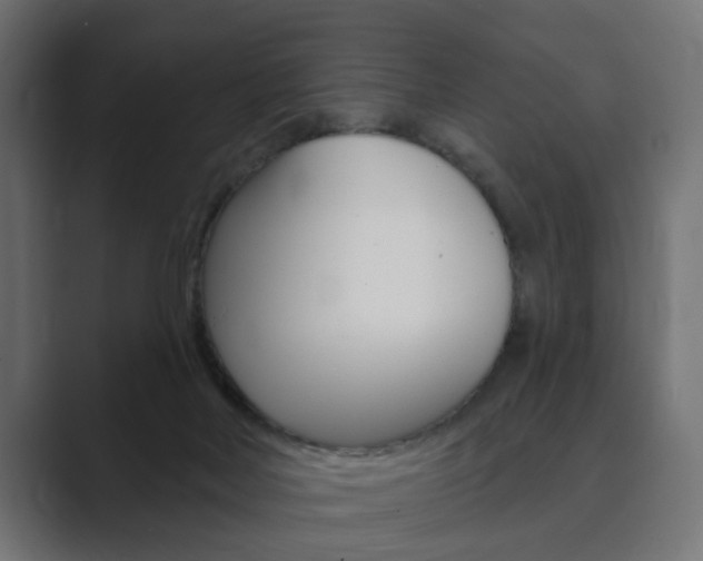 X0000089900026200706281143