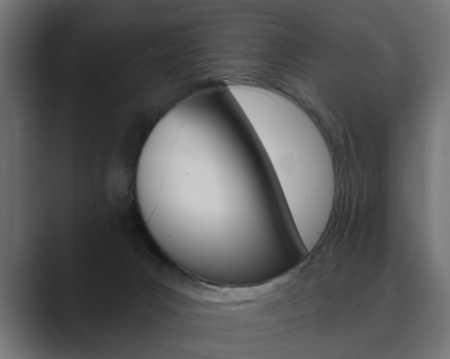 X0000089900031200706281143