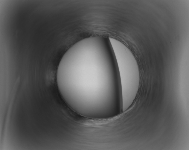 X0000089900033200706281143