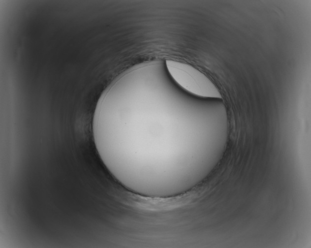 X0000089900034200706281143