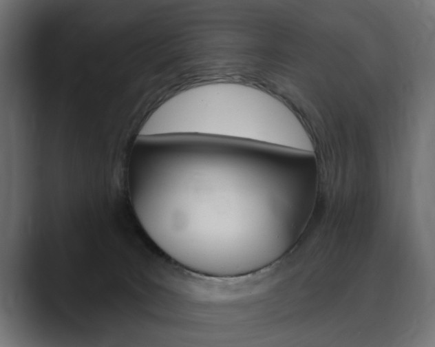 X0000089900035200706281143
