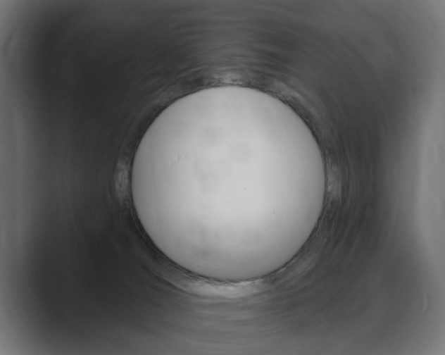 X0000089900036200706281143