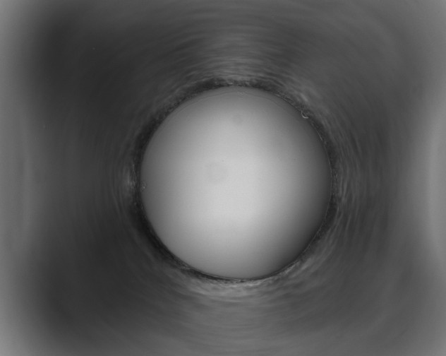 X0000089900040200706281143