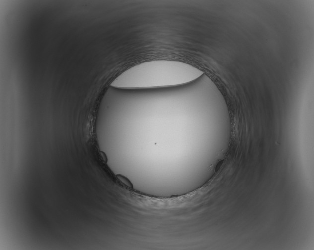 X0000089900043200706281143