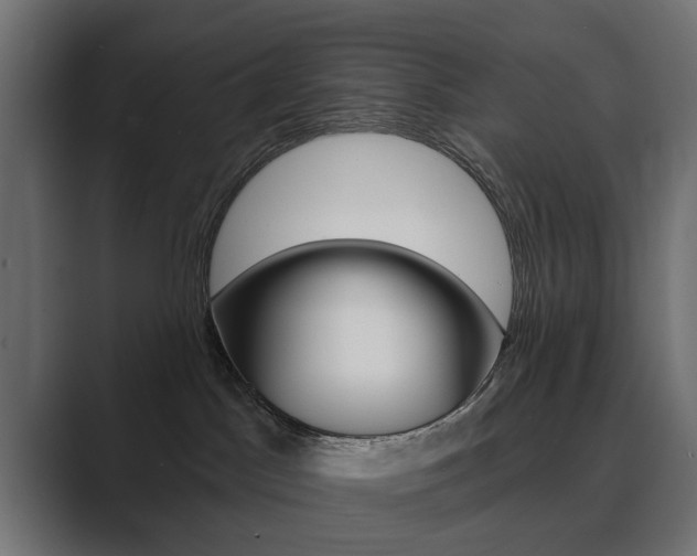 X0000089900045200706281143