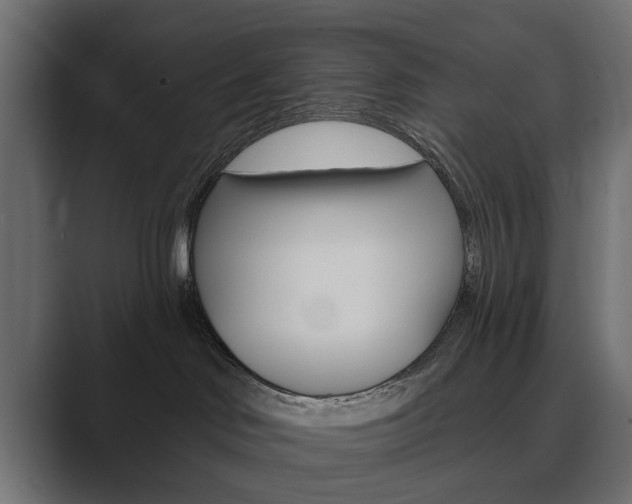 X0000089900046200706281143