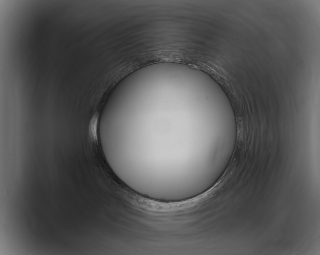 X0000089900047200706281143
