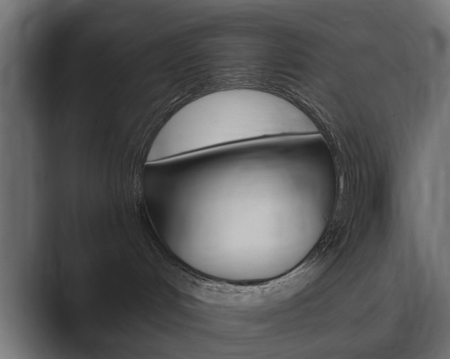 X0000089900048200706281143