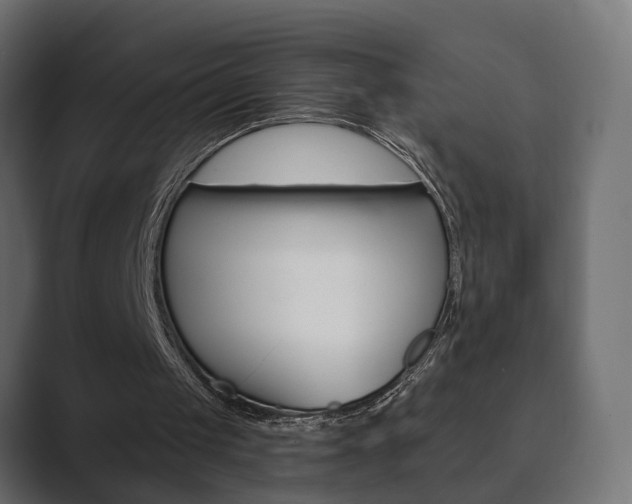 X0000089900049200706281142