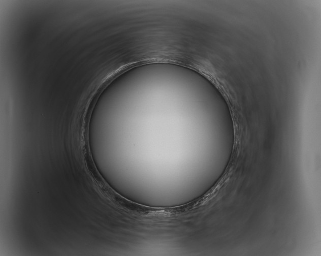 X0000089900050200706281142