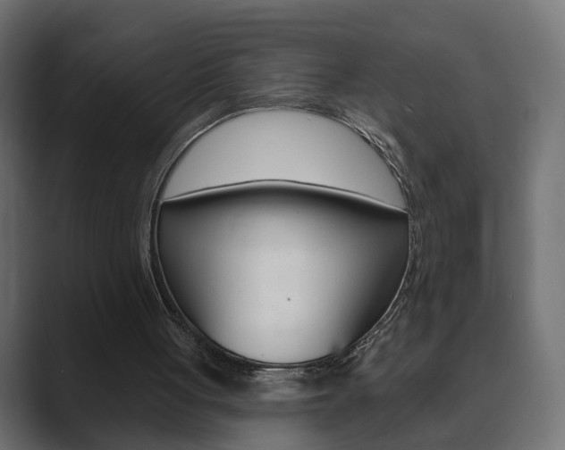 X0000089900051200706281142