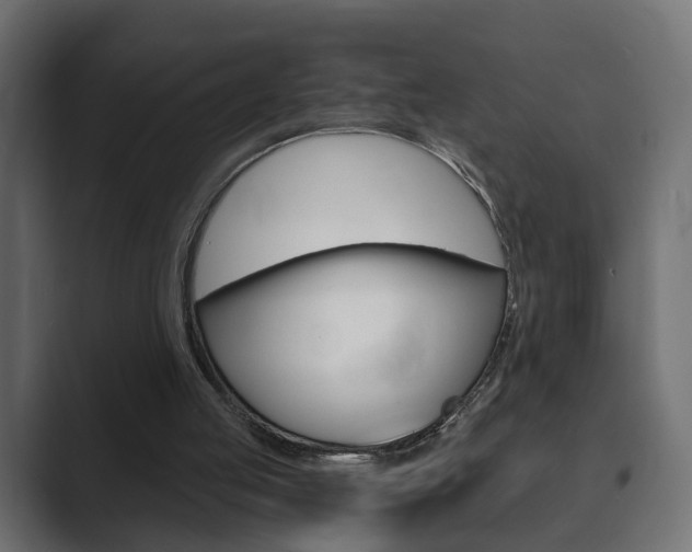 X0000089900053200706281142