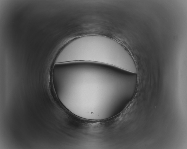 X0000089900054200706281142