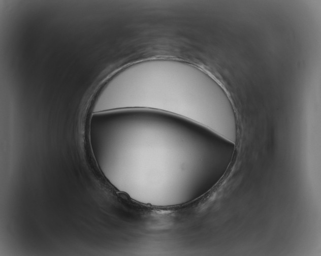 X0000089900055200706281142