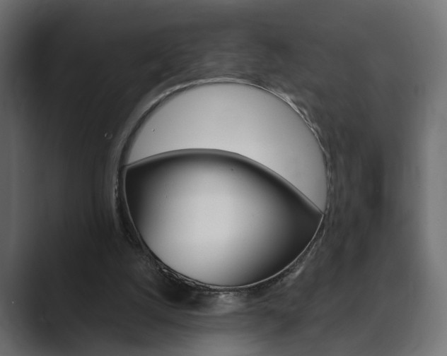 X0000089900056200706281142
