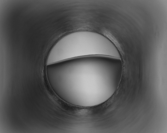 X0000089900058200706281142