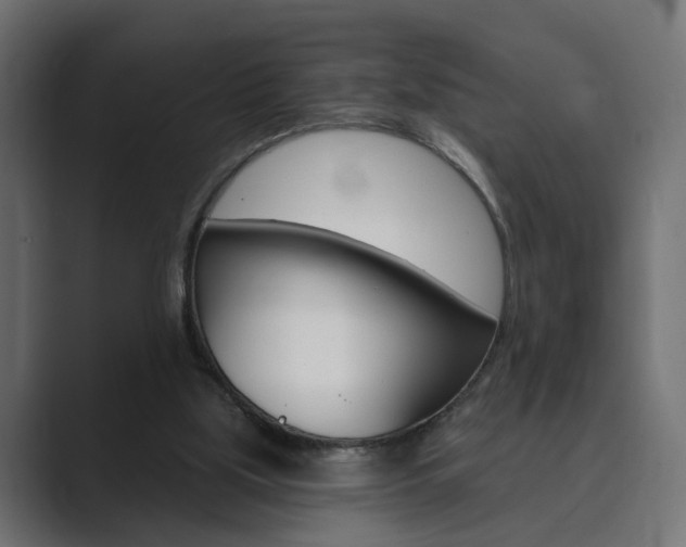 X0000089900059200706281142