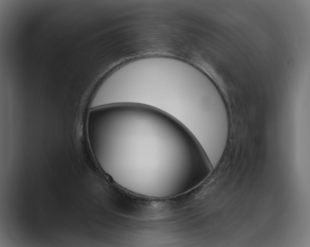 X0000089900060200706281142