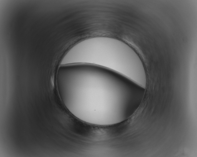 X0000089900062200706281142