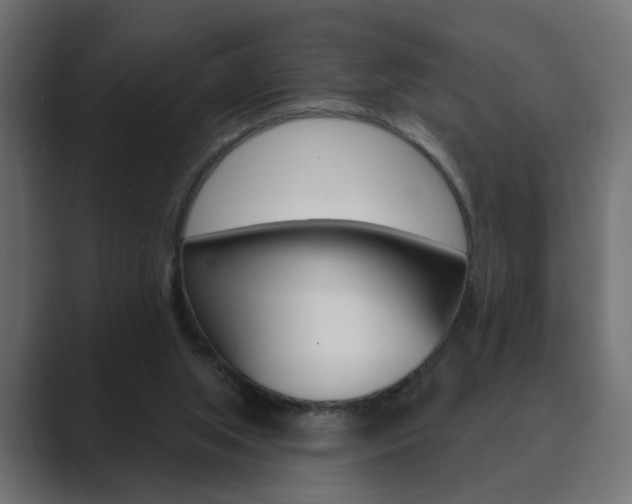 X0000089900063200706281142