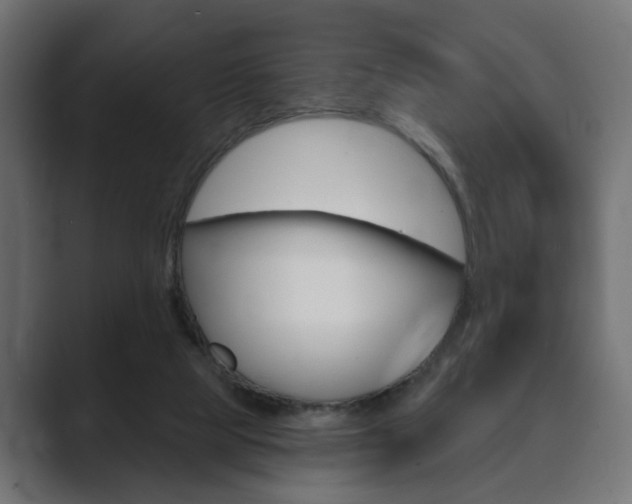 X0000089900065200706281142