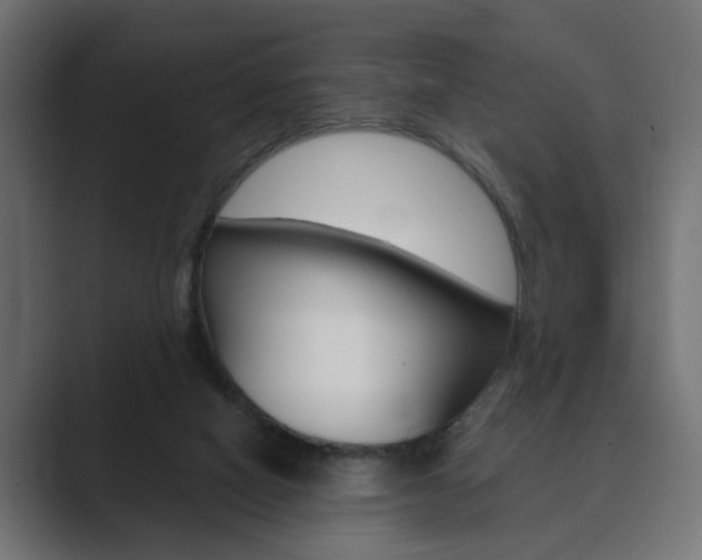 X0000089900066200706281142