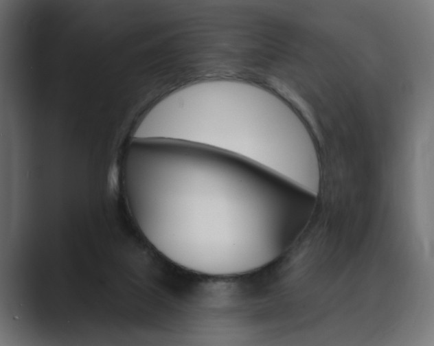 X0000089900067200706281142