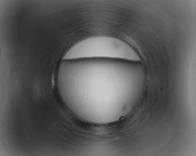 X0000089900069200706281142
