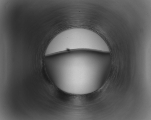 X0000089900074200706281142
