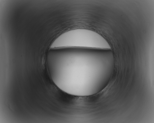 X0000089900082200706281142