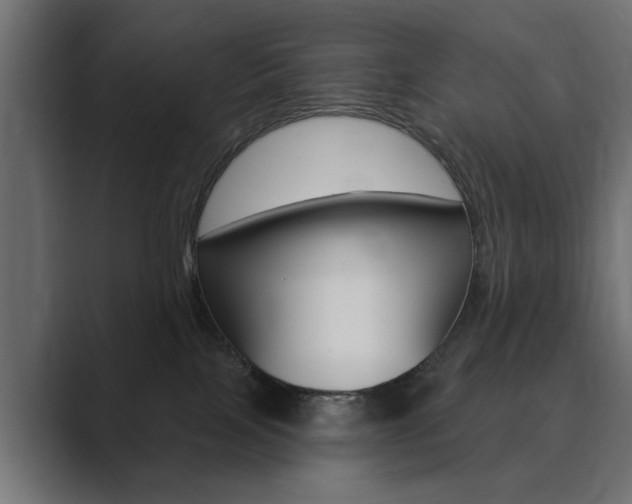 X0000089900089200706281143