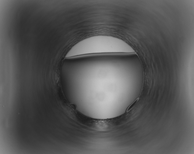 X0000089900091200706281143