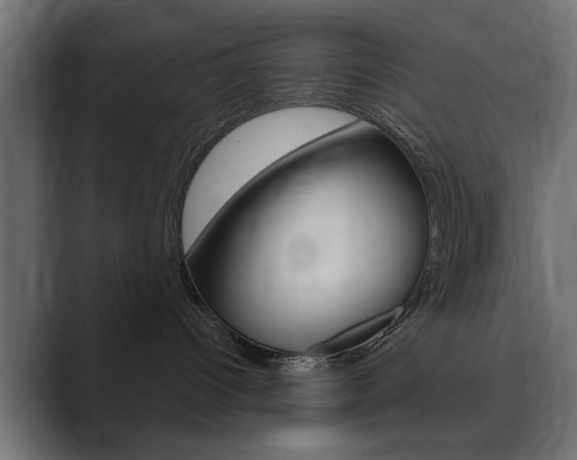 X0000089900096200706281143