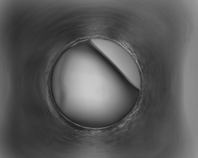 X0000089900097200706281142