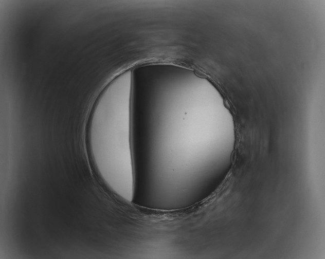 X0000089900100200706281142