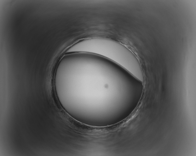 X0000089900101200706281142