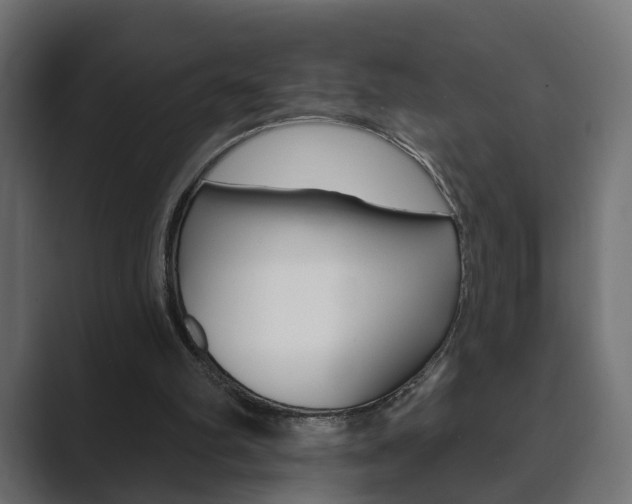 X0000089900102200706281142