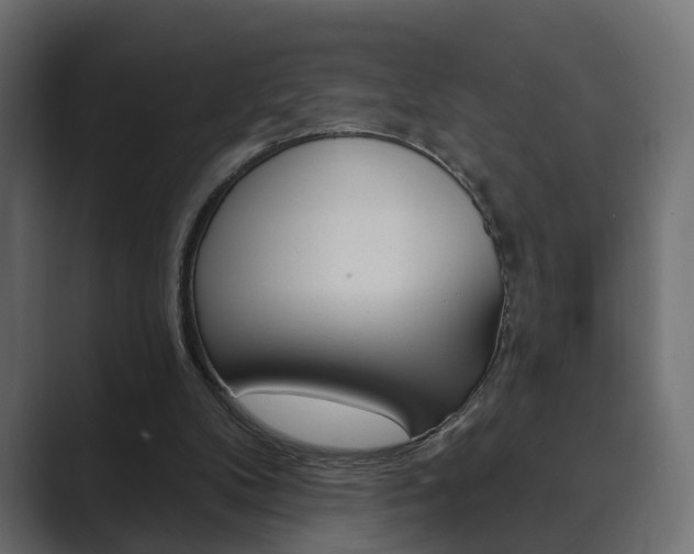 X0000089900104200706281142
