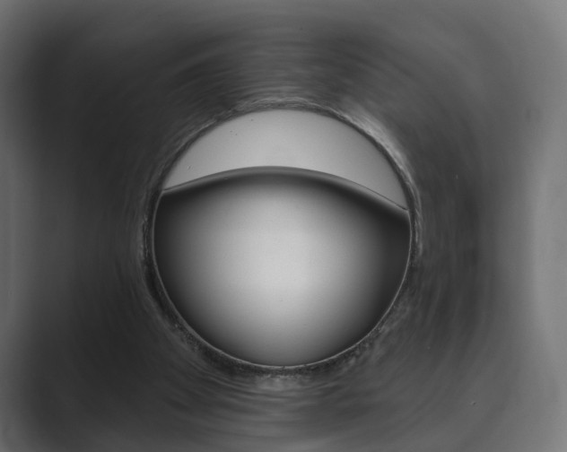 X0000089900105200706281142