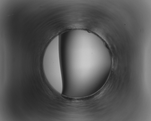 X0000089900109200706281142