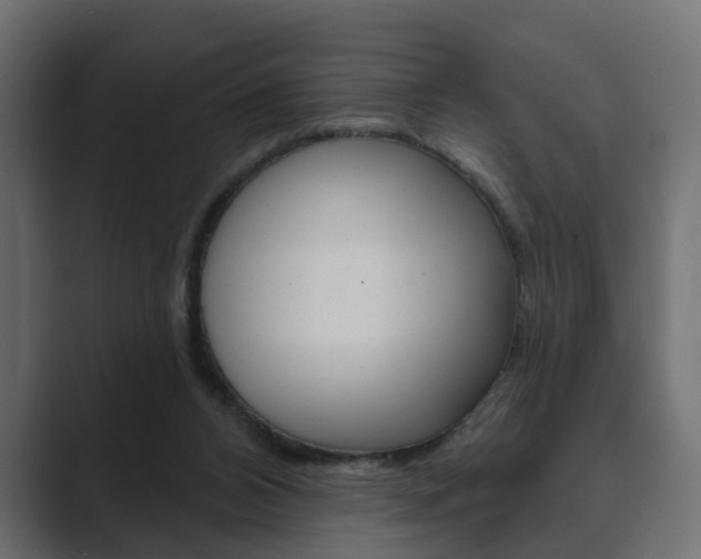 X0000089900112200706281142