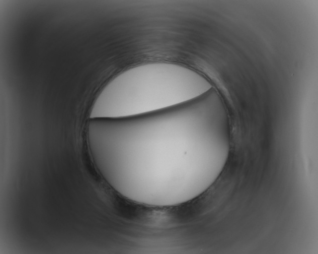 X0000089900114200706281142