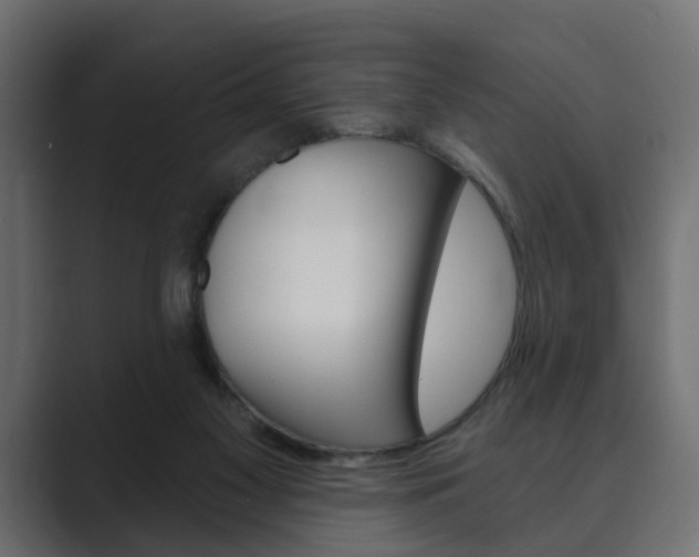 X0000089900117200706281142