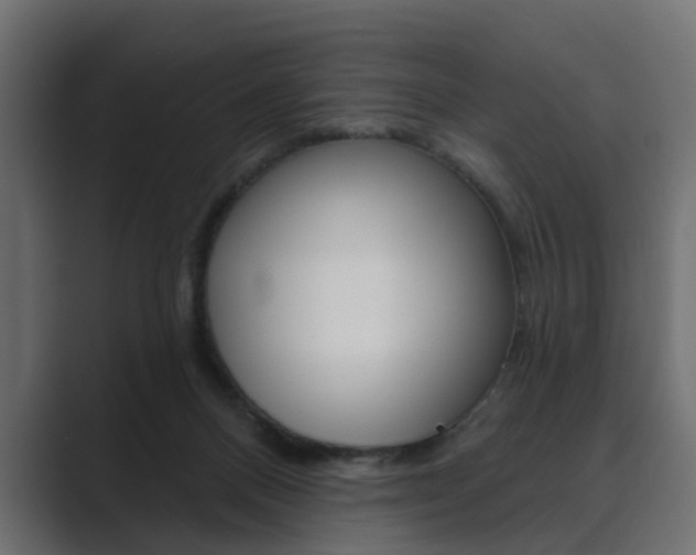 X0000089900120200706281142