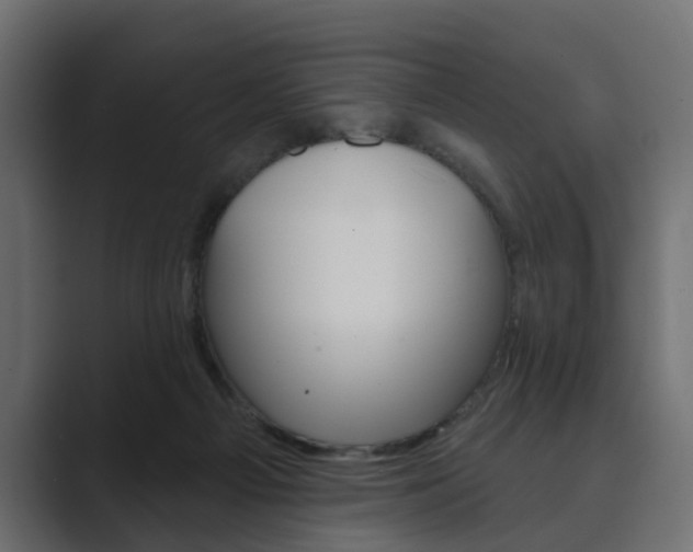 X0000089900121200706281142