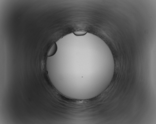 X0000089900130200706281142